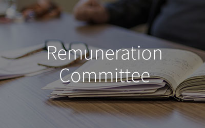 Remuneration-Committee